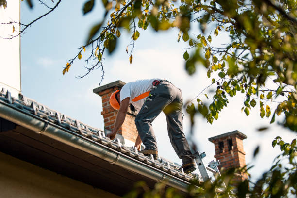 Best Roof Maintenance Services  in Fruit Hill, OH